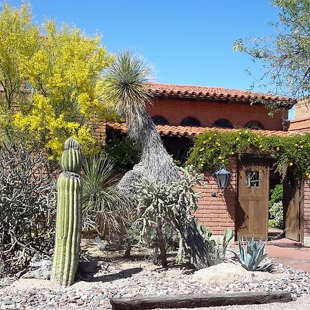 Desert Trails Bed & Breakfast Tanque Verde Dış mekan fotoğraf